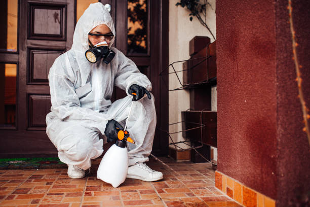 Attic and Crawl Space Rodent Treatment in Muhlenberg Park